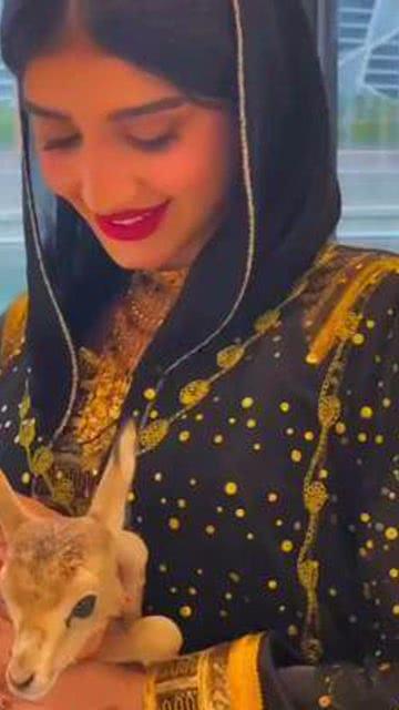 迪拜小姐姐爆料视频,迪拜生活幕后真相大曝光！  第1张